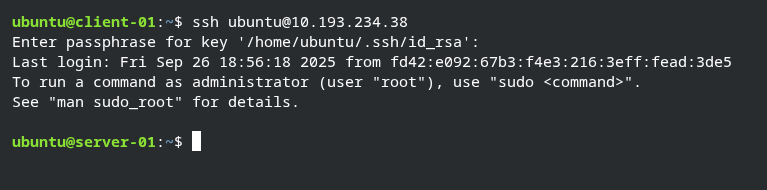 passwordless login demonstration