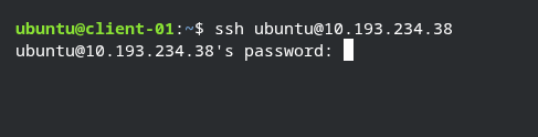 Password based login example